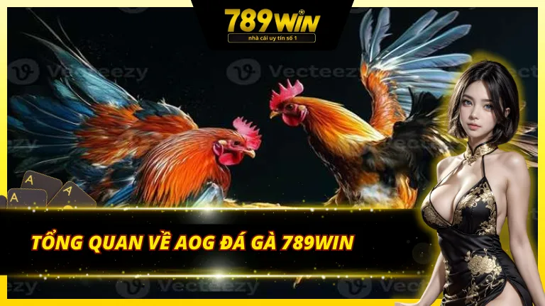 Giới thiệu về AOG đá gà 789Win