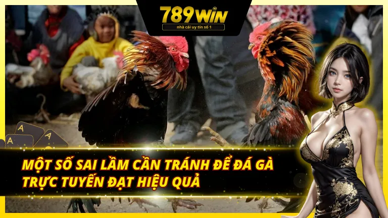 Một số sai lầm cần tránh khi tham gia AOG đá gà 789Win